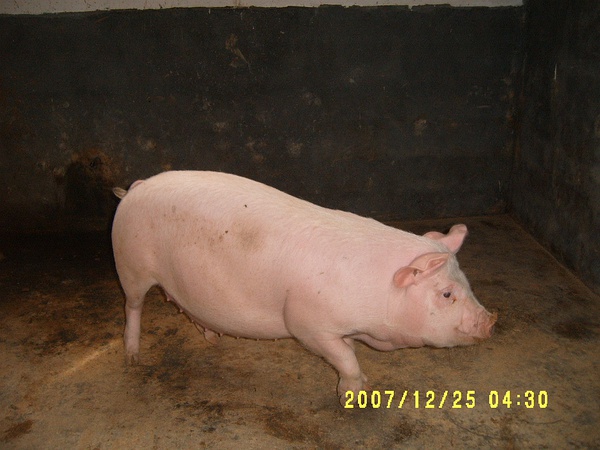 31.jpg